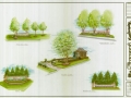 Commercial Landscape Design