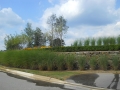 Commercial Landscape Design & Installation
