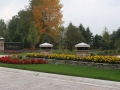 Commercial Landscape Design & Installation