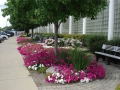 Commercial Landscape Design & Installation