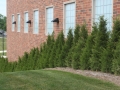 Commercial Landscape Design & Installation