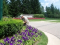 Landscape Maintenance Oakland & Macomb Counties