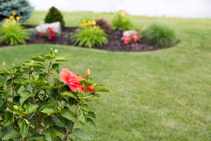 Spring Clean-Up for Your Oakland County Landscaping