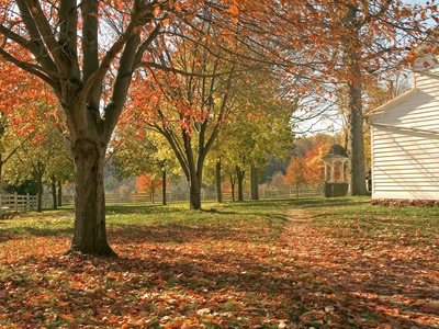 10 Tips for Tending To Your Michigan Landscaping This Fall