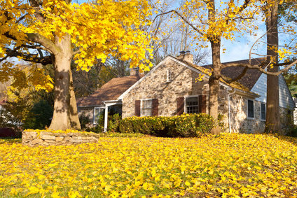 Oakland County Landscaper Gives Fall Landscape Cleanup Tips