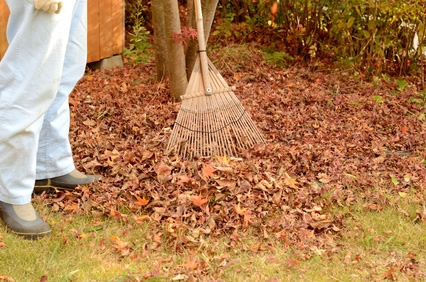 Oakland County Landscaper Gives Fall Maintenance Tips