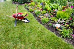 Sterling Heights landscaping