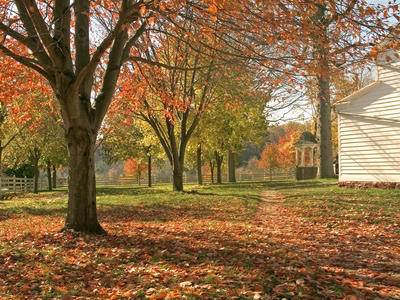 Year Round Landscaping in Oakland Twp